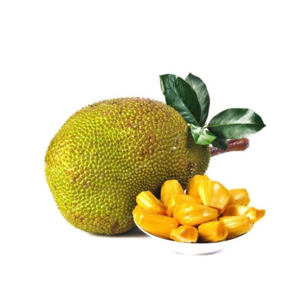 Jackfruit